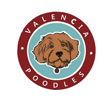 Valenciapoodles photo