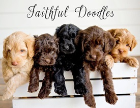 Faithful Doodles photo